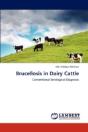 Brucellosis In Dairy Cattle - Preview