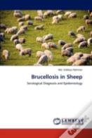 Brucellosis In Sheep