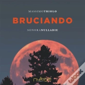 Capa do artigo Bruciando