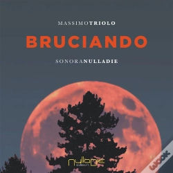 Capa do artigo Bruciando