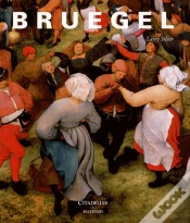 Capa do artigo Bruegel Relie
