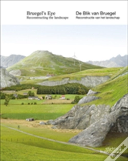 Capa do artigo Bruegel'S Eye