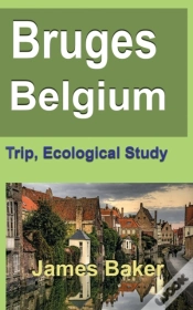Capa do artigo Bruges, Belgium