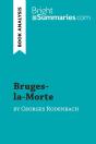Bruges-La-Morte By Georges Rodenbach (Book Analysis) - Preview