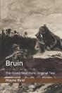Bruin - Preview