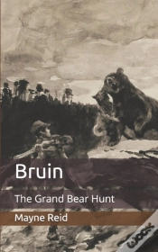 Capa do artigo Bruin
