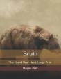 Bruin - Preview