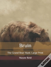 Capa do artigo Bruin