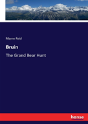 Bruin - Preview