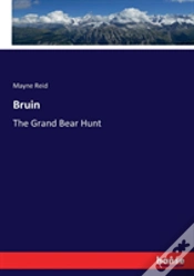 Capa do artigo Bruin