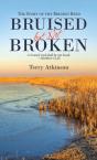 Bruised But Not Broken - Preview