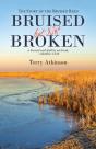 Bruised But Not Broken - Preview