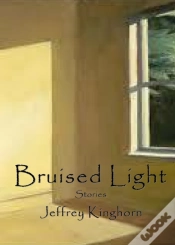 Capa do artigo Bruised Light