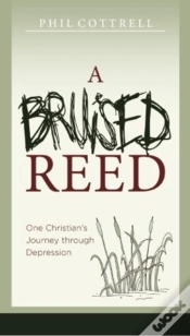 Capa do artigo Bruised Reed