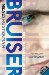 Capa do artigo Bruiser