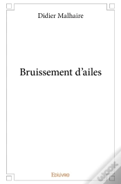 Capa do artigo Bruissement D