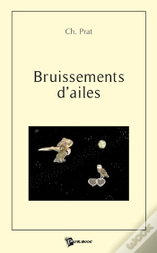 Capa do artigo Bruissements D