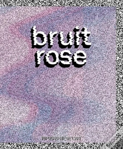 Capa do artigo Bruit Rose