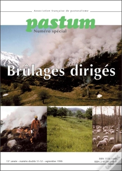 Capa do artigo Brulages Diriges