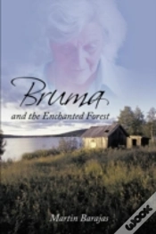 Capa do artigo Bruma And The Enchanted Forest