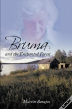 Capa do artigo Bruma And The Enchanted Forest