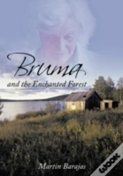 Capa do artigo Bruma And The Enchanted Forest