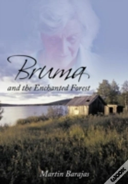Capa do artigo Bruma And The Enchanted Forest