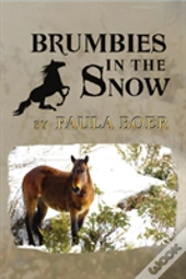 Brumbies In The Snow
