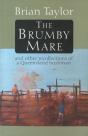 Brumby Mare - Preview