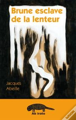 Capa do artigo Brune Esclave De La Lenteur