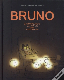 Capa do artigo Bruno ; Quelques Jours De Ma Vie Très Intéressante