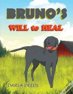 Capa do artigo Bruno'S Will To Heal