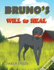 Capa do artigo Bruno