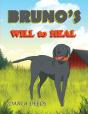 Bruno'S Will To Heal - Preview