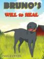 Bruno'S Will To Heal - Preview