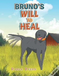 Capa do artigo Bruno'S Will To Heal