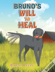 Bruno'S Will To Heal