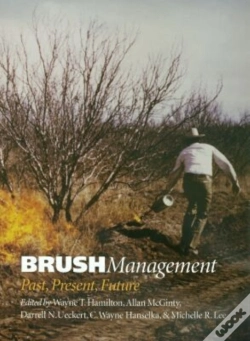 Capa do artigo Brush Management