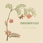 Brushwork - Preview