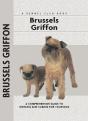 Brussels Griffon - Preview