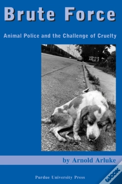 Capa do artigo Brute Force