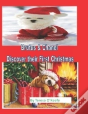 Capa do artigo Brutus & Chanel Discover Their First Christmas