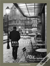 Bruxelles, Un Jour En Hiver
