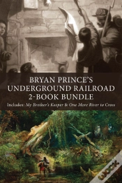 Capa do artigo Bryan Prince