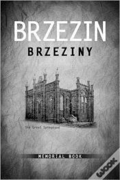 Capa do artigo Brzezin Memorial Book