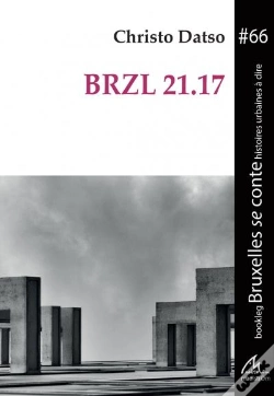 Capa do artigo Brzl 21.17