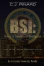 Bsi - Preview