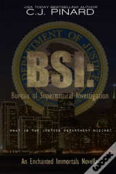Bsi