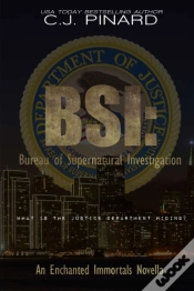 Capa do artigo Bsi