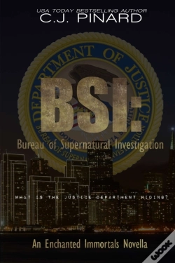 Capa do artigo Bsi